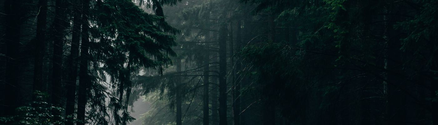 petrichor odeur de la pluie