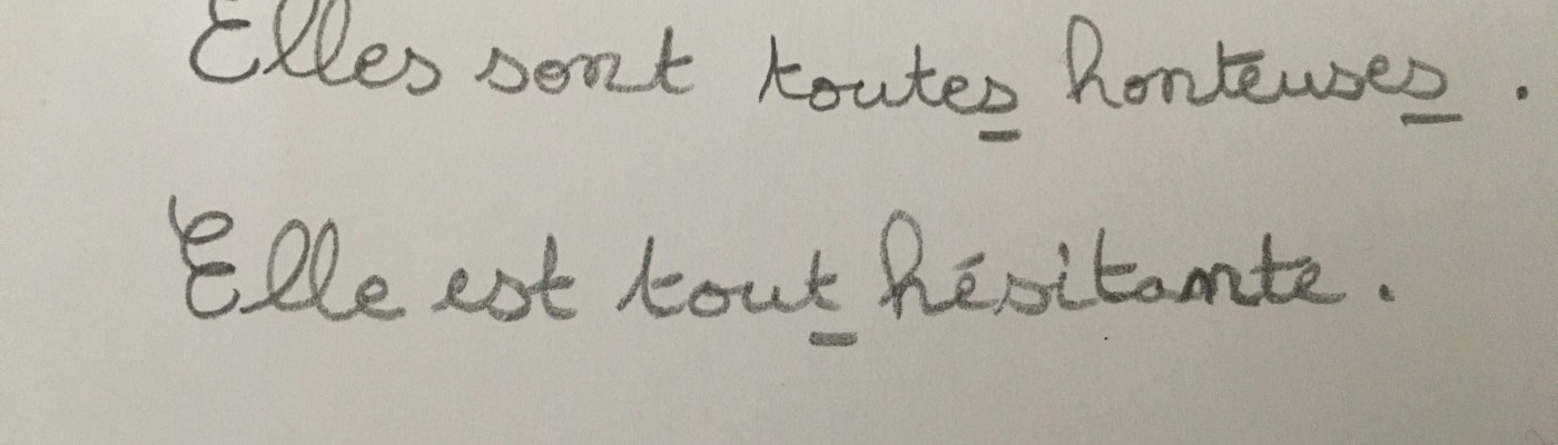 accord de tout orthographe