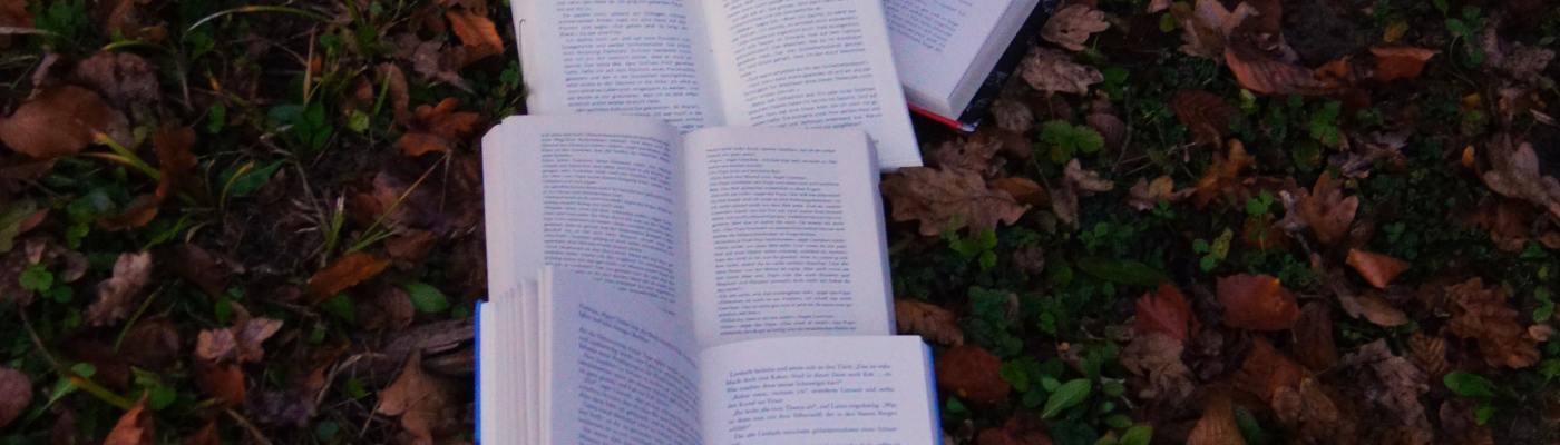 accompagner les auteurs