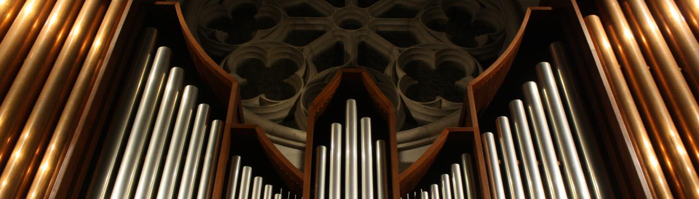 amours délices et orgues